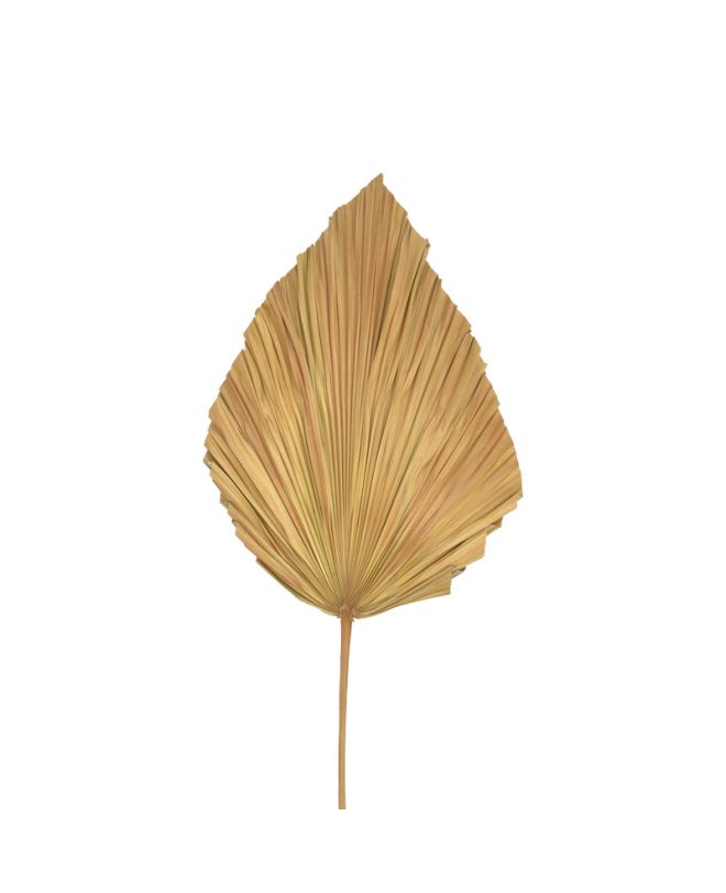 Διακοσμητικό φύλλο Walsy Inart palm leaf σε φυσική απόχρωση Υ135 εκ