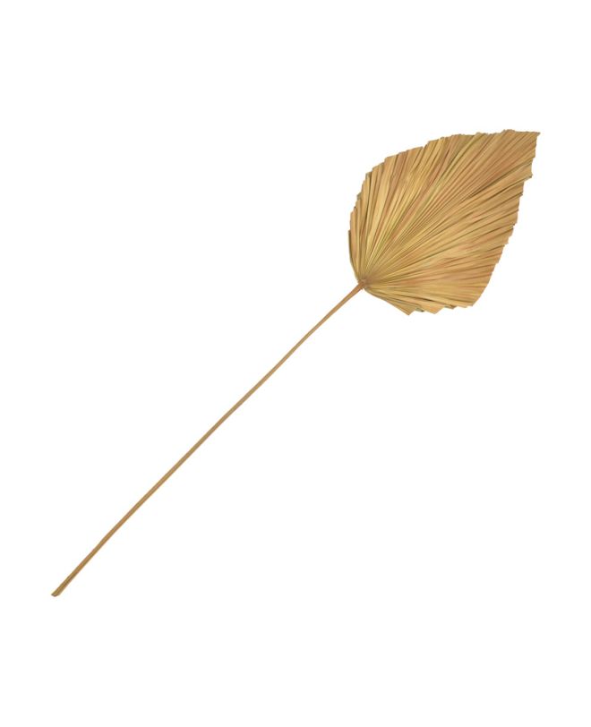 Διακοσμητικό φύλλο Walsy Inart palm leaf σε φυσική απόχρωση Υ135 εκ