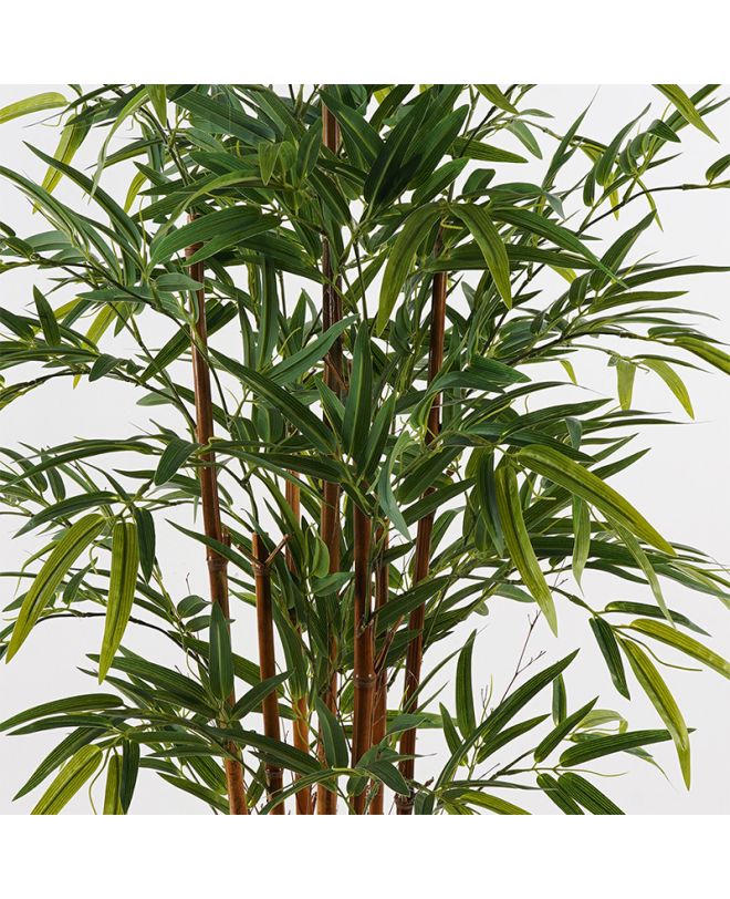 Διακοσμητικό φυτό σε γλάστρα Rhapis Palm Inart πράσινο Φ60x120εκ