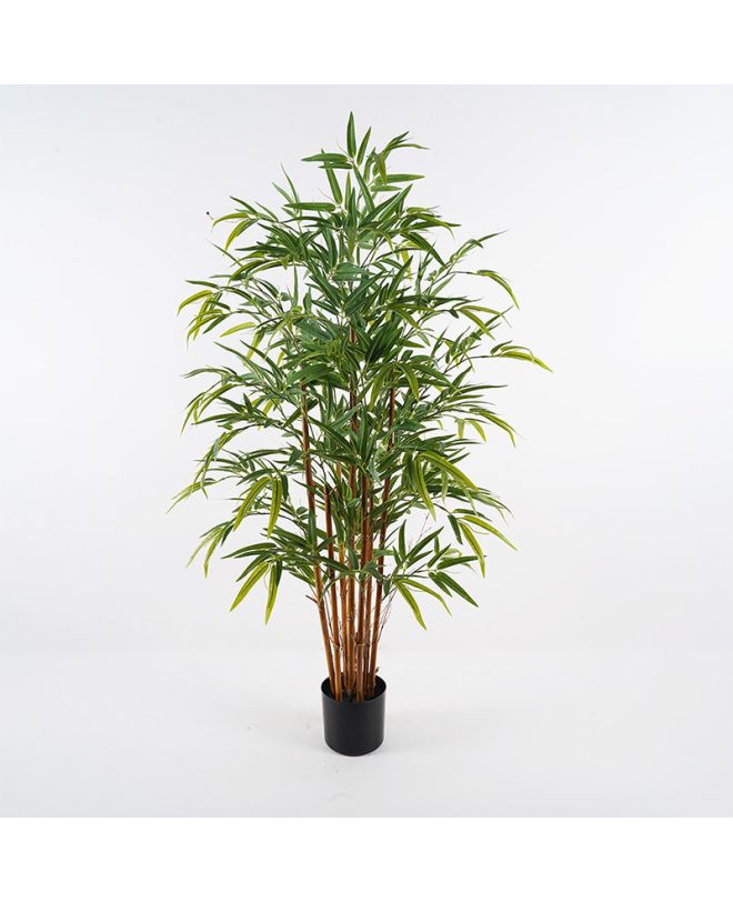 Διακοσμητικό φυτό σε γλάστρα Rhapis Palm Inart πράσινο Φ60x120εκ