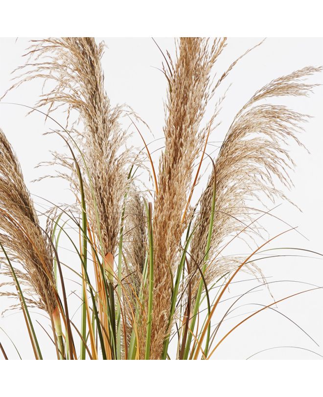 Διακοσμητικό φυτό σε γλάστρα Bulrush Inart Φ65x120εκ
