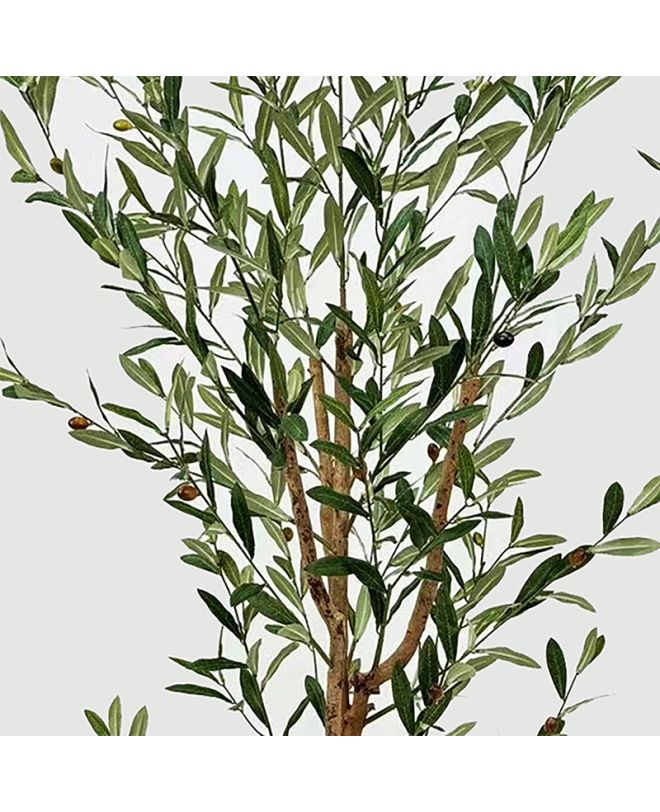 Διακοσμητικό φυτό σε γλάστρα Olia Inart πράσινο 65x55x180εκ