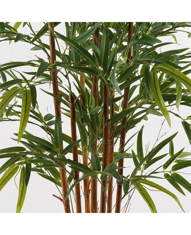 Διακοσμητικό φυτό σε γλάστρα Rhapis Palm Inart πράσινο Φ80x180εκ
