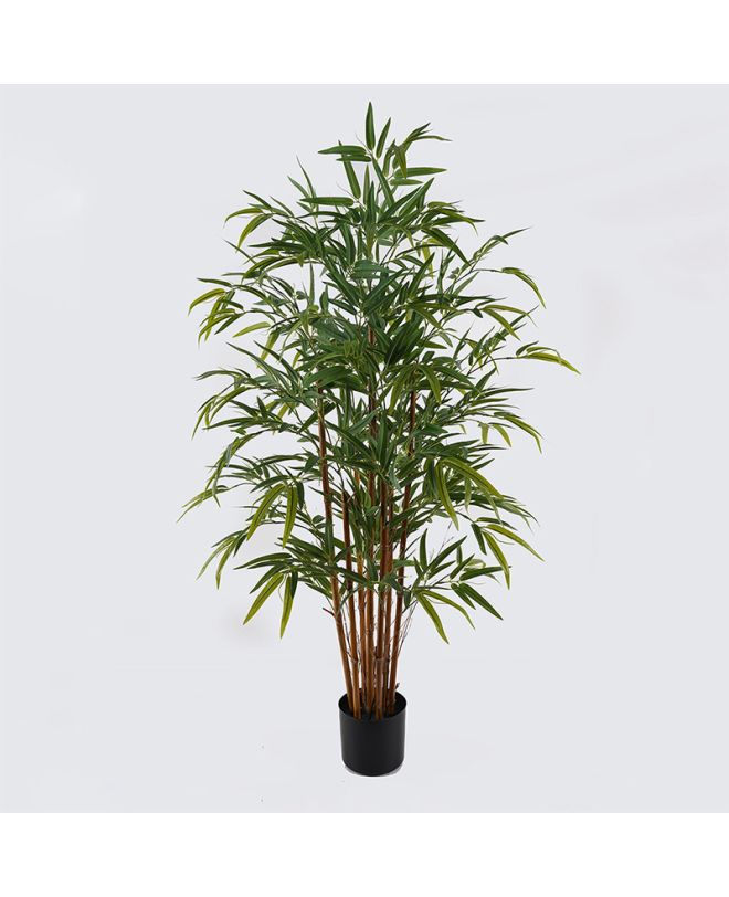 Διακοσμητικό φυτό σε γλάστρα Rhapis Palm Inart πράσινο Φ80x180εκ