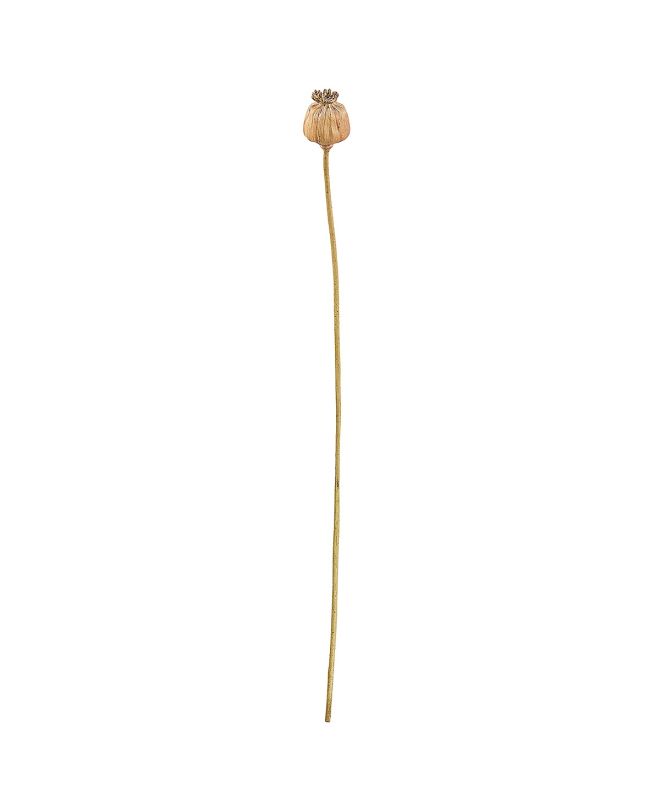 Κλαδί Σενέκιο ArteLibre Τεχνητό Καφέ 55cm