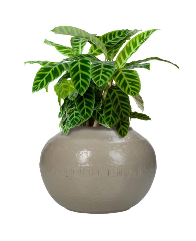 Βάζο ArteLibre Ιβουάρ Αλουμίνιο 14.5x14.5x11cm