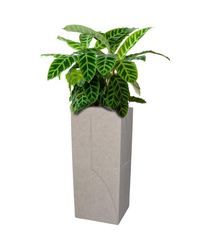 Κασπώ Γκρι Τσιμέντο 15x15x35cm