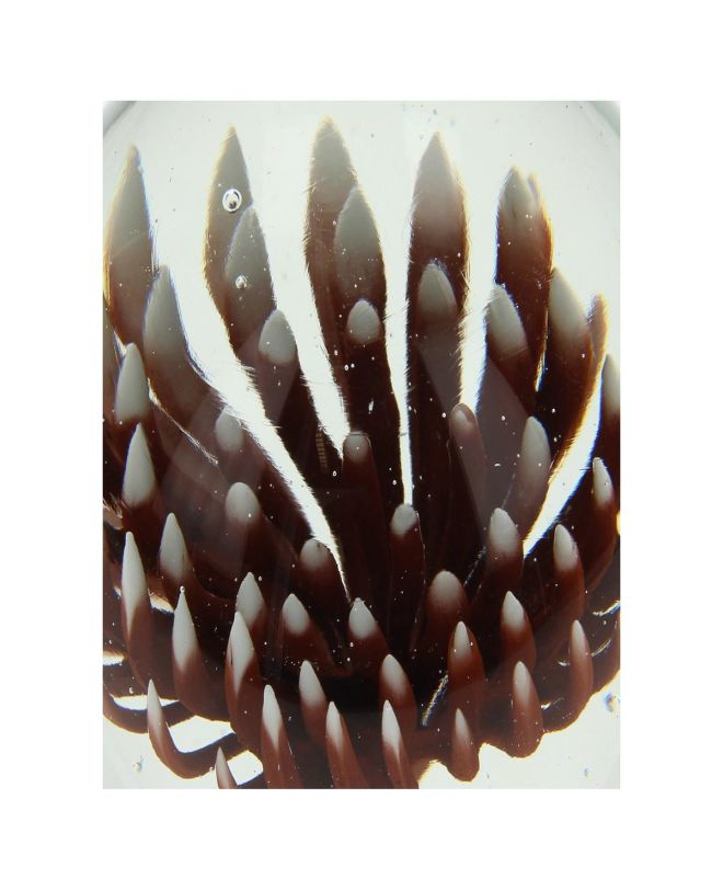 Press Papier Λουλούδι Φυσικό Γυαλί 10cm