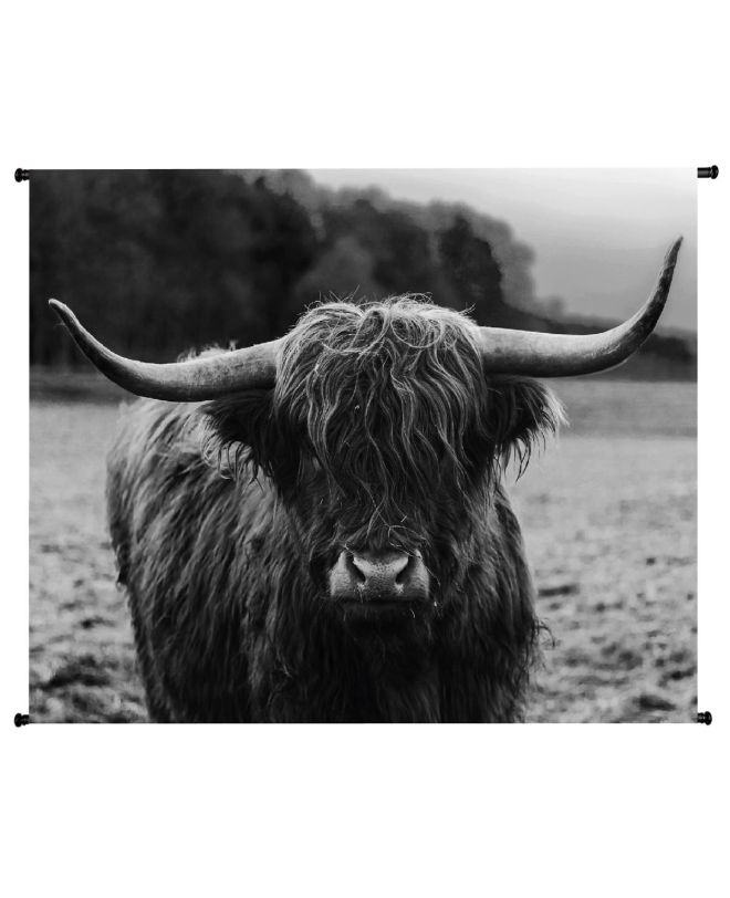 Διακοσμητικό Τοίχου Κρεμαστό Highlander Γκρι Βελούδο 146x110cm