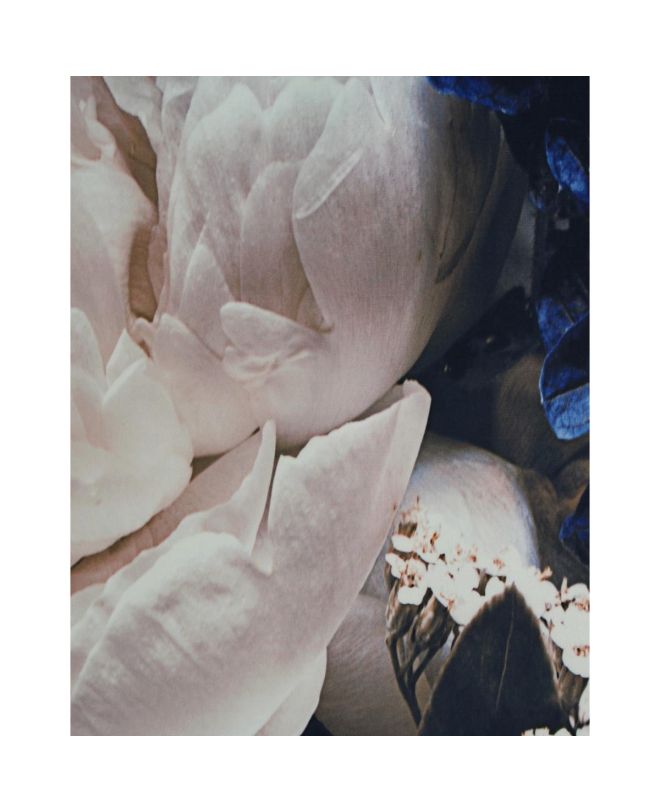 Διακοσμητικό Τοίχου Κρεμαστό Παιώνια Μπλε Βελούδο 146x110cm