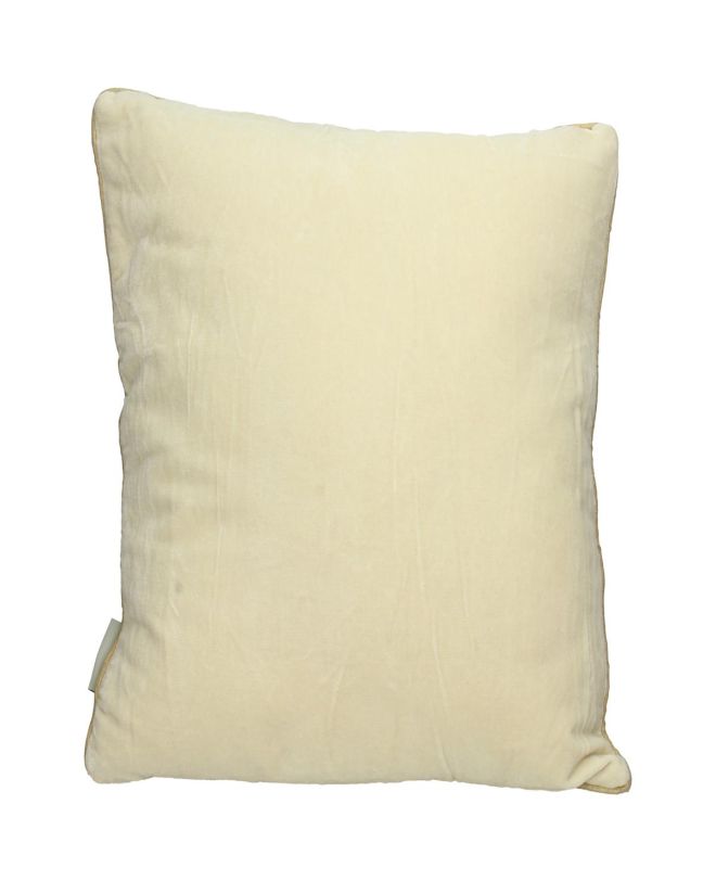 Μαξιλάρι Πολύχρωμο Βελούδο 45x45cm