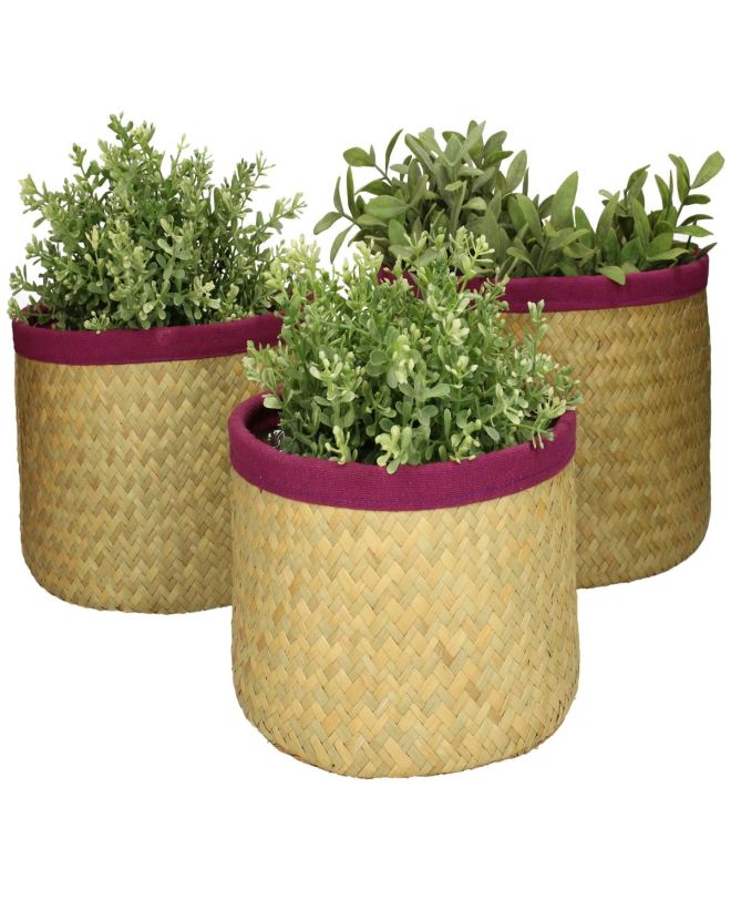 Κασπώ ArteLibre Μοβ Seagrass 27x27x17cm Σετ 3Τμχ