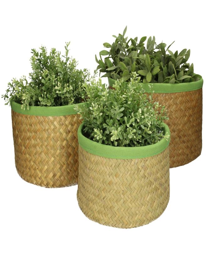 Κασπώ ArteLibre Μέντα Seagrass 27x27x17cm Σετ 3Τμχ