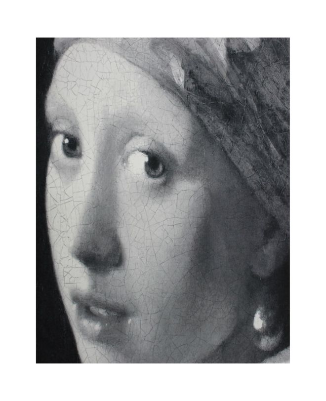 Διακοσμητικό Τοίχου Κρεμαστό Κορίτσι Με Το Μαργαριταρένιο Σκουλαρίκι Γκρι Βελούδο 105x2.5x136cm