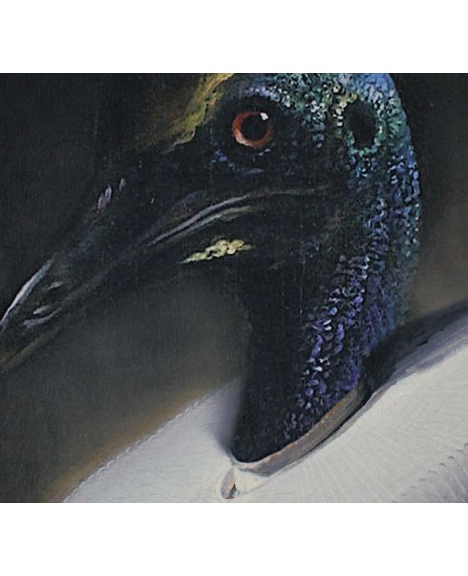 Διακοσμητικό Τοίχου Κρεμαστό Παγώνι Μαύρο Βελούδο 83x110cm