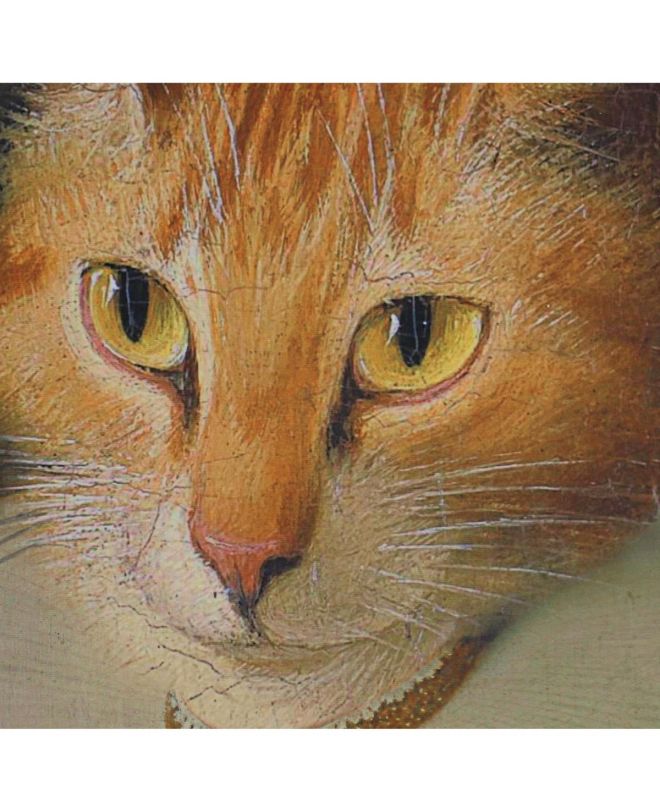 Διακοσμητικό Τοίχου Κρεμαστό Γάτα Καφέ Βελούδο 83x110cm