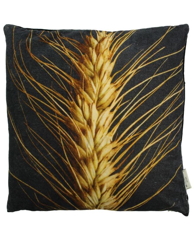Μαξιλάρι Wheat Καφέ Βελούδο 45x45cm
