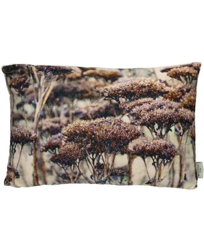 Μαξιλάρι Εύχαρις Καφέ Βελούδο 40x60cm