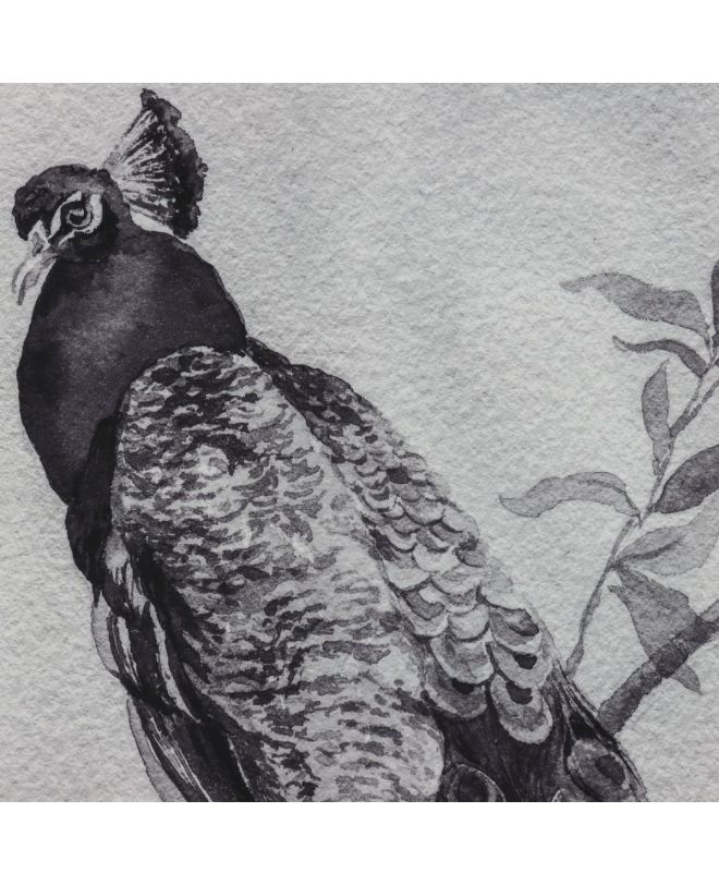 Διακοσμητικό Τοίχου Κρεμαστό Παγώνι Μαύρο Βελούδο 105x136cm