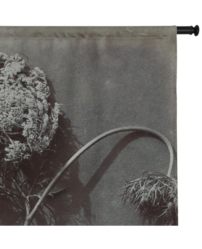 Διακοσμητικό Τοίχου Κρεμαστό Λουλούδι Του Επισκόπου Γκρι Βελούδο 105x136cm