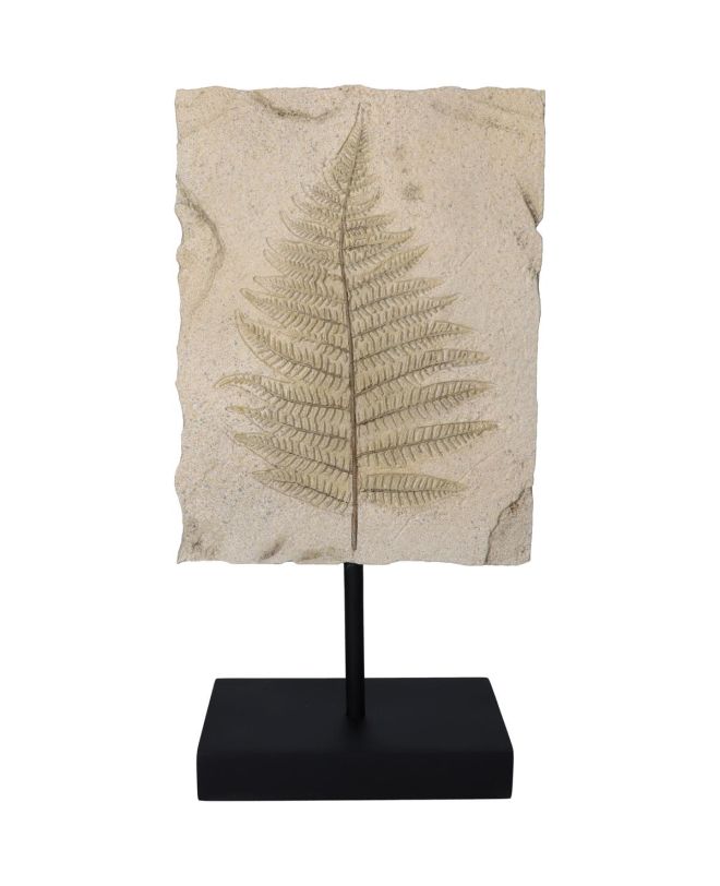 Διακοσμητικό Φύλο Ιβουάρ Polyresin 21x11.8x39.8cm